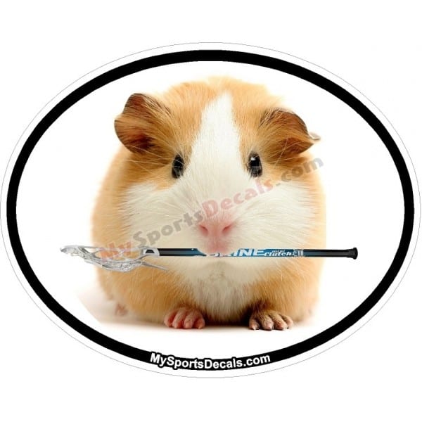 Guinea Pig - Pet Lacrosse Oval Decal and Magnets