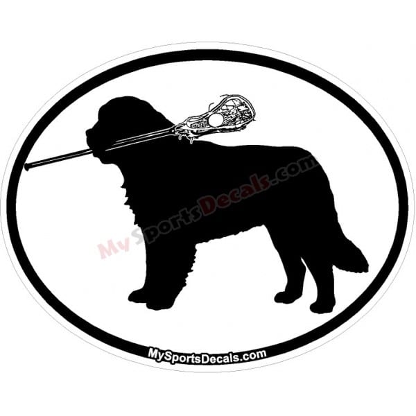 Saint Bernard - Pet Lacrosse Oval Decal and Magnets