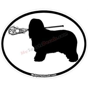 Sheep Dog - Pet Lacrosse Oval Decal and Magnets