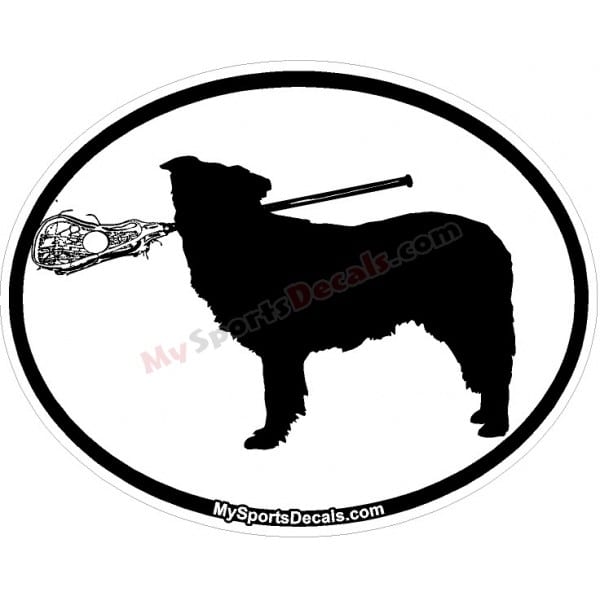 Australian Shepard - Pet Lacrosse Oval Decal and Magnets
