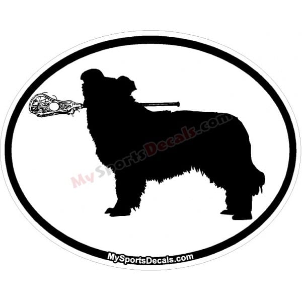 Border Collie - Pet Lacrosse Oval Decal and Magnets