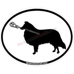 Collie - Pet Lacrosse Oval Decal and Magnets